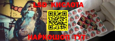 эйфоретик Новокубанск