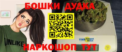 спиды Новодвинск