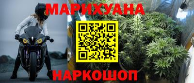 спиды Новодвинск